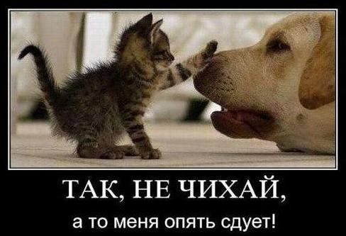 ТАК НЕ ЧИХАЙ а ТО меня ОПЯТЬ сдует