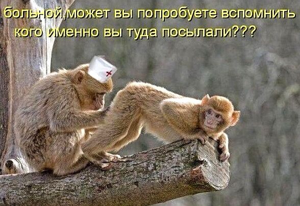 Ожет вы попробуете! Всломнить енно вы туда посылали?? 2