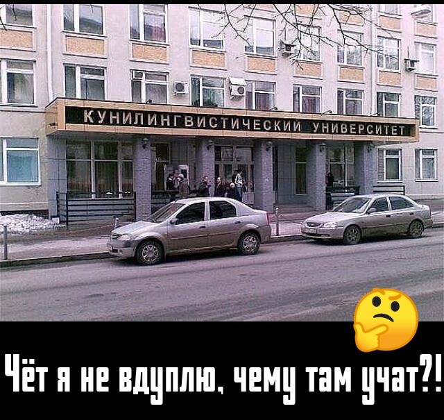 Чёт и не щплш чем там учат