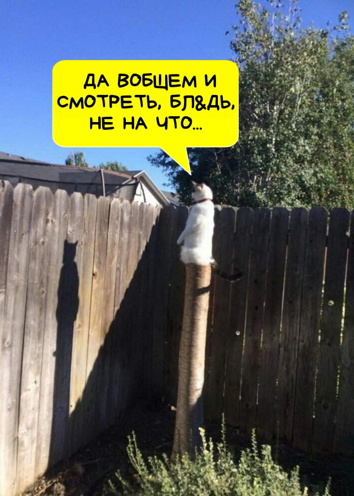 ДА ВОБЩЕМ И СМОТРЕТЬ БПДЬ НЕ НА ЧТО