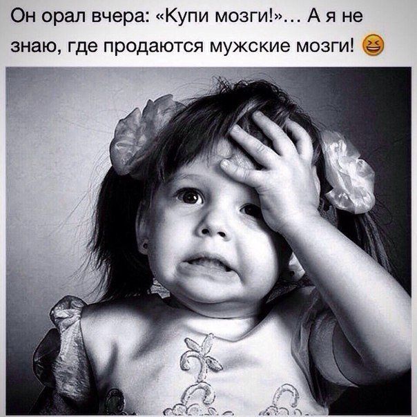 Он орал вчера Купи мозги А я не знаю где продаются мужские мозги 9