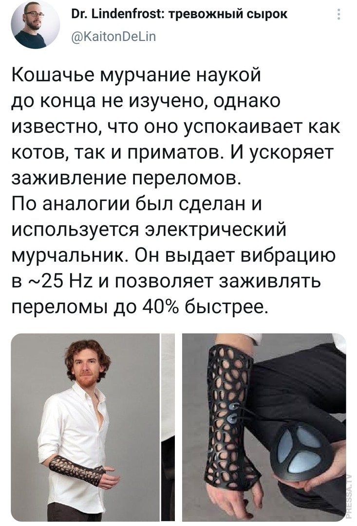 Вг Ьіпаепігозі тревожный сырок КаітопВеЦп Кошачье мурчание наукой до конца не изучено однако известно что оно успокаивает как котов так и приматов И ускоряет заживление переломов По аналогии был сделан и используется электрический мурчальник Он выдает вибрацию в 25 Н2 и позволяет заживлять переломы до 40 быстрее
