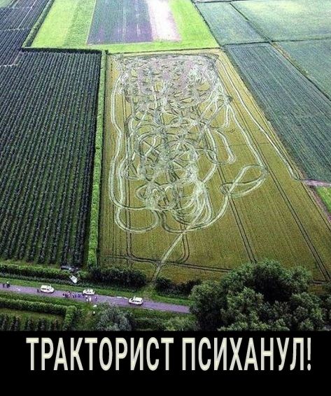 м трдкторист ПсИХАНУЛ