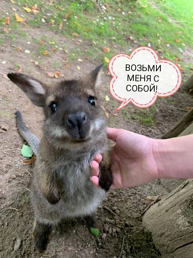 Возьми »  меня с собой!
