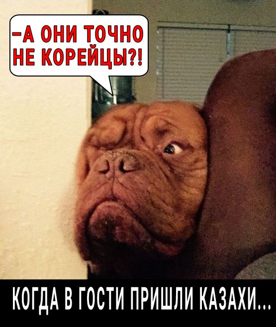 А они т_очно д нв корвицыг КОГДА В ГОСТИ ПРИШЛИ КАЗАХИ