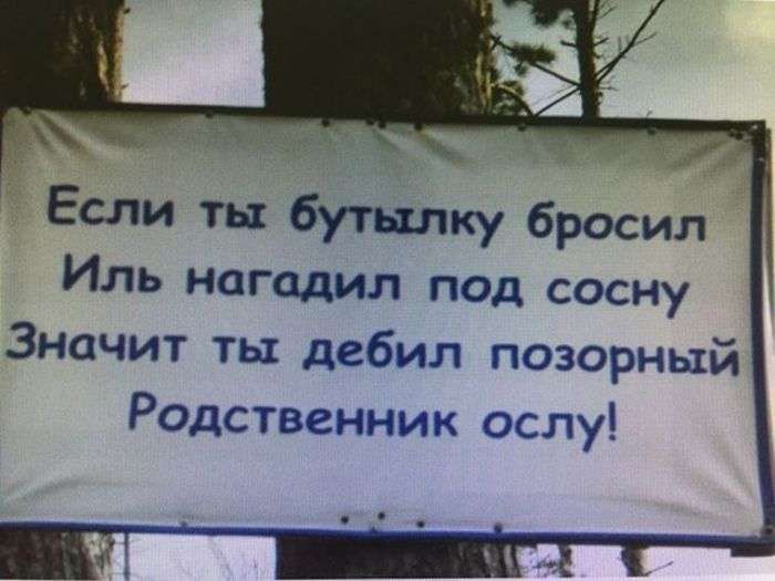 Если ты бутылку бросил Иль нагадил под сосну Значит ты дебил позорный Родственник ослу