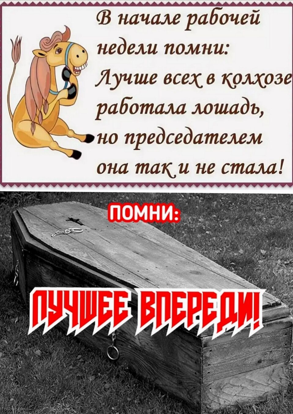 начале рабочей недели помни Лучше всех в колхоз работала лошадь но председателем она таки не стала