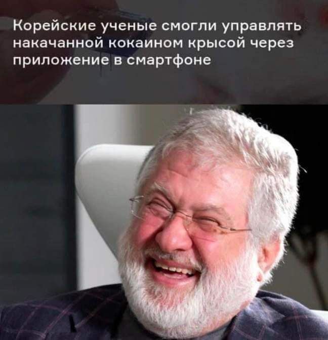 Корейские ученые смогли управлять накачанной кокаином крысой через приложение в смартфоне