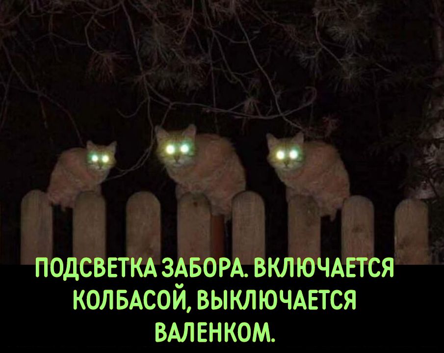 КОЛ БАСОЙ ВЫКЛЮЧАЕТСЯ ВАЛЕН КОМ