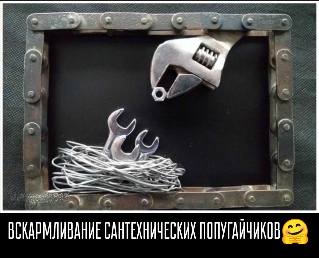 НЕКАРМЛИНАНИЕ ЕАНТЕХНИЧЕЕКИХ ПППУГАЙЧИКПНЁ