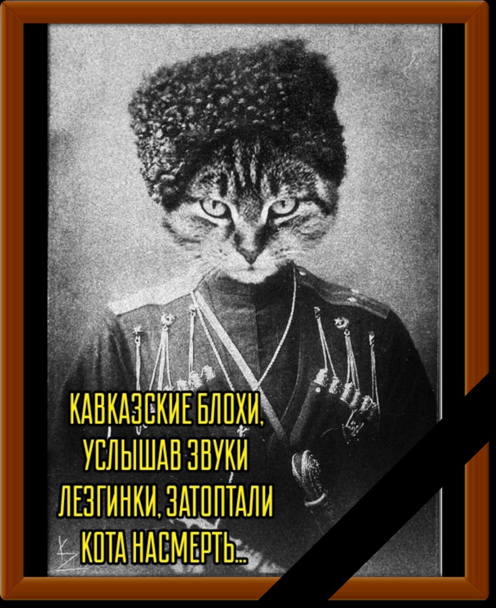 дЬте бдительны посадить жд раньше вас