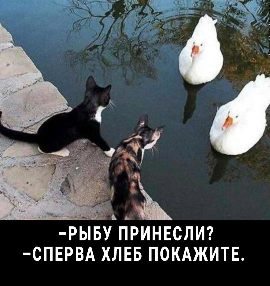 ЕЁ ЬБУ пьРинвслиг СПЕРВА хлвв ПОКАЖИТЕ