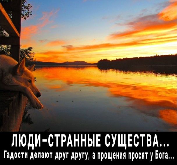 ц а ЛЮДИ СТРАННЫЕ СУЩЕСТВА Гадрсти делают друг другу а прощения просят у Бога