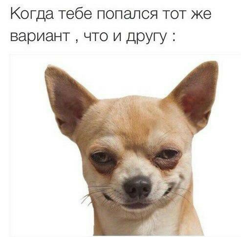 Когда тебе попался тот же вариант что и другу