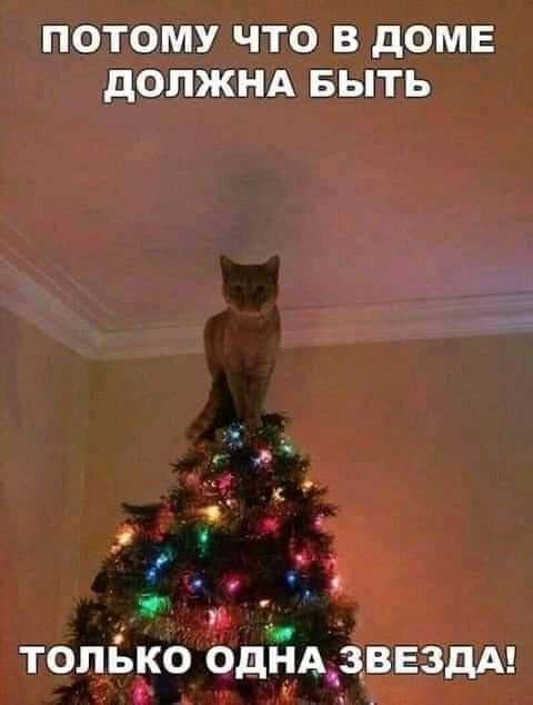 Ю Ш