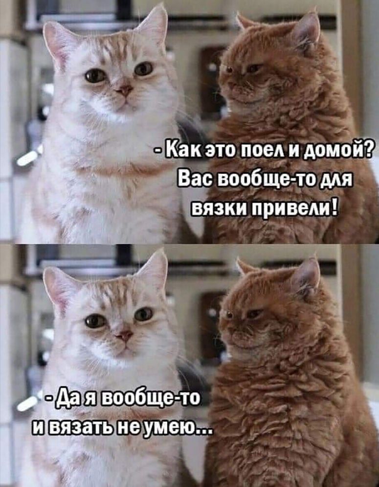 Скак это поел и домой? Ь ас вообщето для 7 вязки привели!