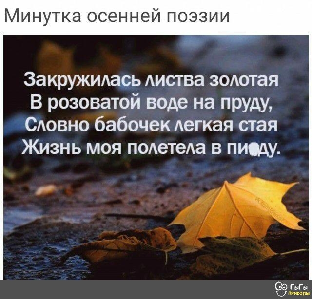 Минутка осенней поэзии За кружмась Аиства зодотая В розоватой воде на пруду гСювно бабочек Аегкая стая Жизнь моя подетеда в пищу