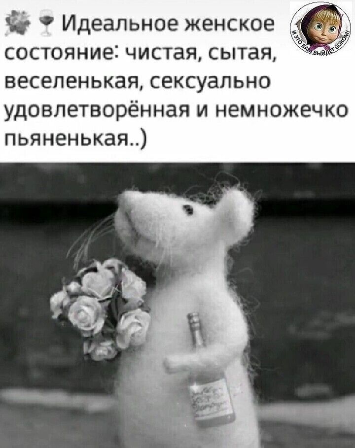 Ёц Идеальное женское состояние чистая сытая веселенькаясексуально удовлетворённая и немножечко пьяненькая