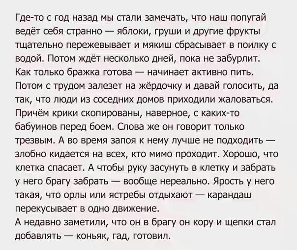 Где то с год назад мы стали замечать что наш попугай ведёт себя странно яблоки груши и другие Фрукты тщательно пережевывает и мякиш сбрасывает в поилку с водой Потом ждет несколько дней пока не забурпит Как только бражка готова начинает активно пить Потом С трудом запезет на Жёрдочку и давай гопосить да так что люди из соседних домов приходили жаловаться Причём крики скопированы наверное с какихто