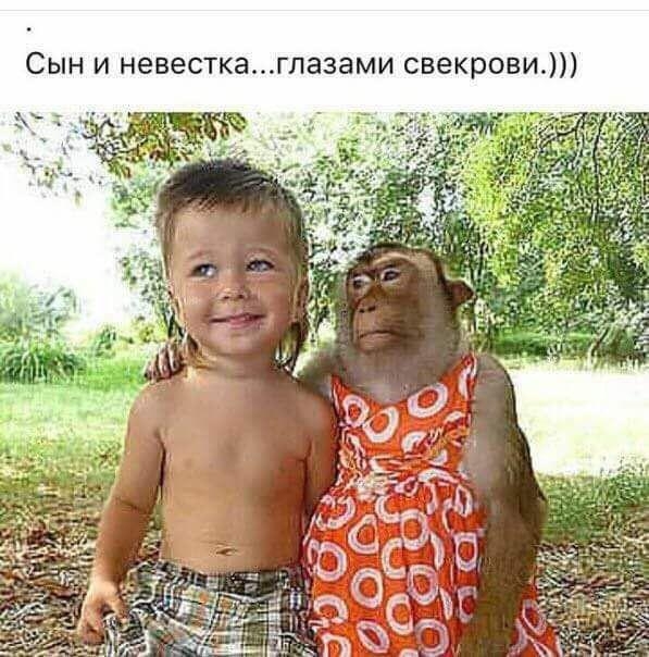 Сын и невесткаглазами свекрови