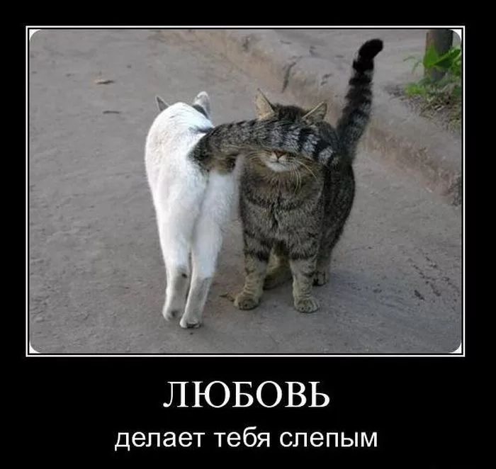 ЛЮБОВЬ делает тебя слепым