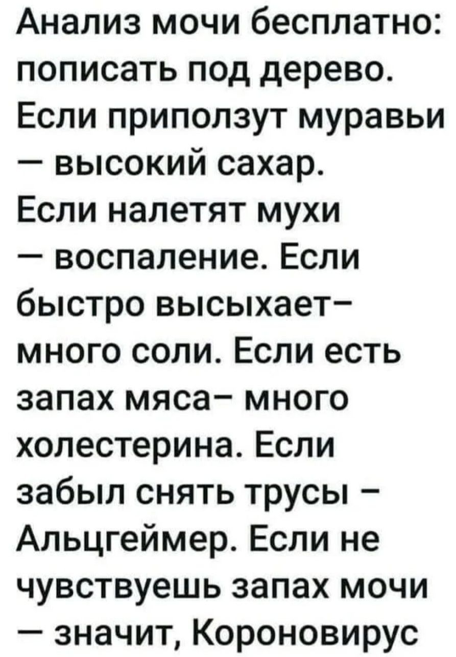 Анализ мочи бесплатно пописать под дерево Если приползут муравьи высокий сахар Если налетят мухи воспаление Если быстро высыхает много соли Если есть запах мяса много холестерина Если забыл снять трусы Альцгеймер Если не чувствуешь запах мочи значит Короновирус