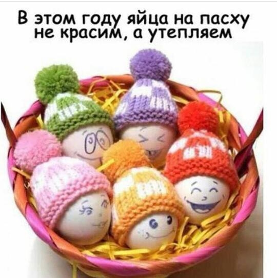 В этом год яйца на пасху утепляем не краси