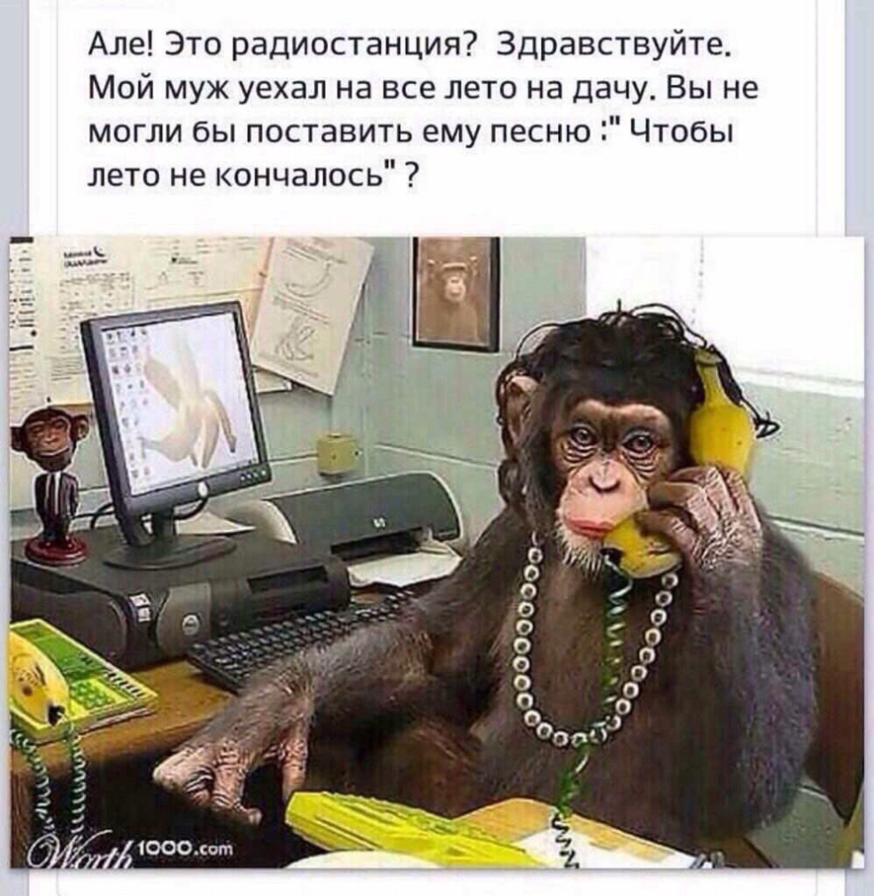 Але Это радиостанция Здравствуйте Мой муж уехал на все лето на дачу Вы не могли бы поставить ему песню Чтобы лето не кончалось