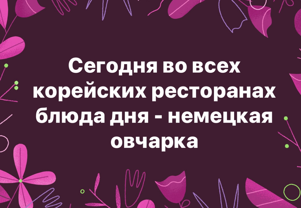 Г Ж Сегодня во всех 45 корейскихресторанах блюда дня немецкая овчарка ЗЬіб