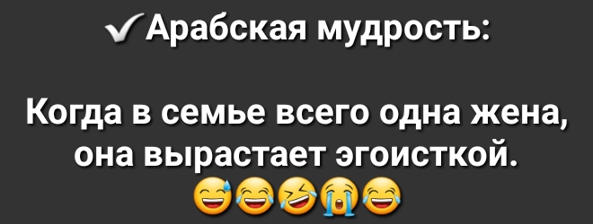 Арабская мудрость Когда в семье всего одна жена она вырастает эгоисткой 66966