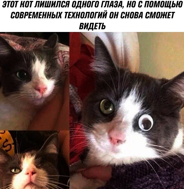 ЗТШ КШ ЛИШИЛВЯ ПДНЦГЦ ГЛАЗА Н В ПЛМЛЩЬЮ БЦВРЕМЕННЫХ ТЕХНЦЛПГИЙ ПН НЦВА МПЖЕ Т ВИДЕТЬ
