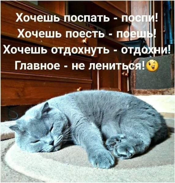 п Хочешёцііюспать п Хоч9шь поость ці _ Хочешь отдохнуть отд _ ___давное не пенич іЁна 13