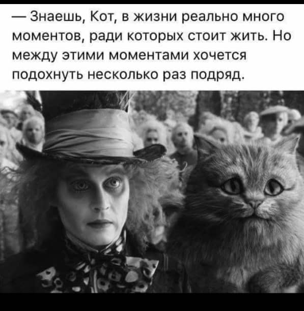 Знаешь Кот в жизни реально много моментов ради которых стоит жить Но между этими моментами хочется подохнуть несколько раз подряд