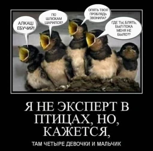 ПТИЦАХ но КАЖЕТСЯ ТАМ ЧЕТЫРЕ ЦЕВОЧКИ И МАЛЬЧИК