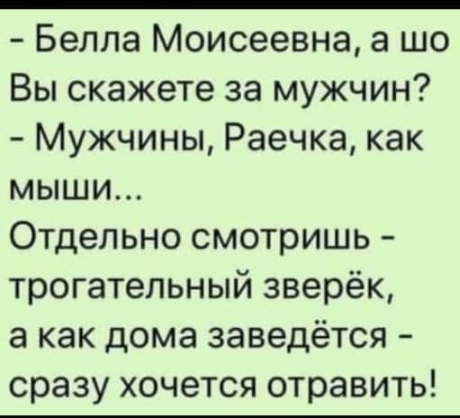 Белла Моисеевна а шо Вы скажете за мужчин Мужчины Раечка как мыши Отдельно смотришь трогательный зверёк а как дома заведётся сразу хочется отравить