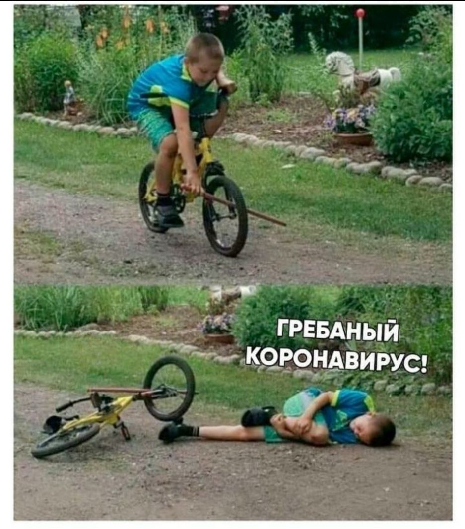 ГРЕБАНЫЙ К9Р9НАВИРУС _