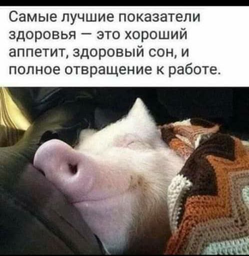 Самые ЛУЧШИЕ ПОКЭЗЭТЭЛИ здоровья _ ЭТО хороший ЗППЭТИТ ЗДОРОВЫЙ СОН И ПОЛНОЕ ОТВРЗЩЕНИЕ К работе