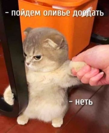 пойдем оливБе додать