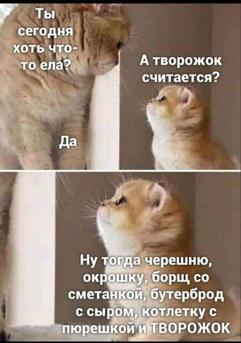 Ты сегодня хотьъі о это ела Атворожок считается