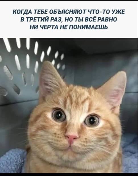 КОГДА ТЕБЕ ОБЪЯСНЯЮТ ЧТО ТО УЖЕ В ТРЕТИЙ РАЗ НО ТЫ ВСЁ РАВНО НИ ЧЕРТА НЕ ПОНИМАЕШЬ