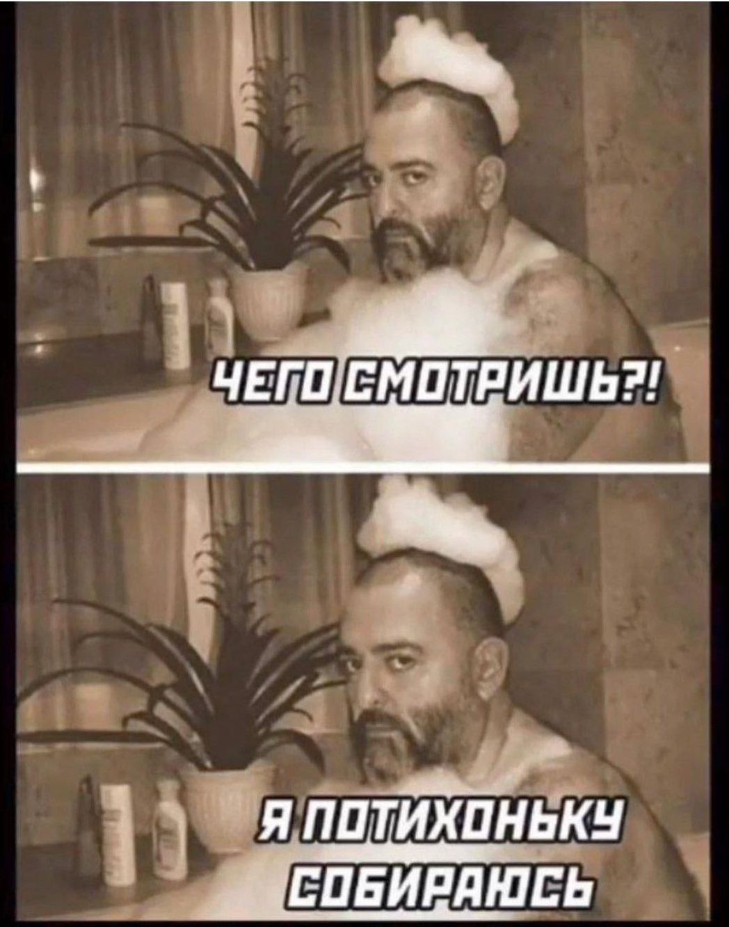 чвгп змптпишьг зряйптихинвйн _ ЕдзИЁдшвь