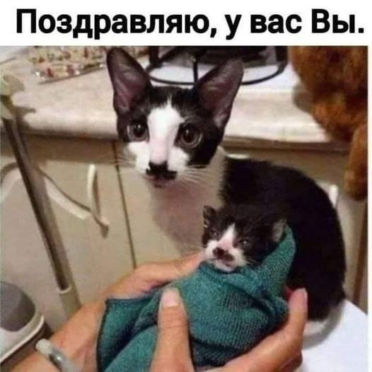 Поздравляю, у вас Вы.