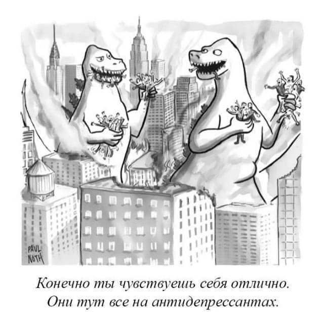 Конечно ты чувствуешь себя отлично. Они тут все на антидепрессантах.