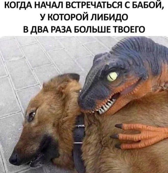 КОГДА НАЧАЛ ВСТРЕЧАТЬСЯ С БАБОЙ, У КОТОРОЙ ЛИБИДО В ДВА РАЗА БОЛЬШЕ ТВОЕГО