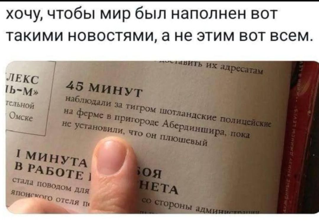 хочу, чтобы мир был наполнен вот такими новостями, а не этим вот всем. 45 МИНУТ наблюдали за тигром шотландские полицейские на ферме в пригороде Абердиншира, пока не установили, что он плюшевый