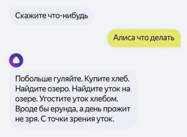 Скажите что нибудь Побольше гуляйте Купите хлеб Найдите озеро Найдите уток на озере Угостите уток хлебом Вроде бы ерунда а день прожит не зря С точки зрения уток