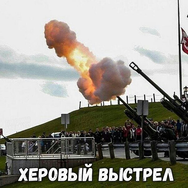 ровый Вьістрвд