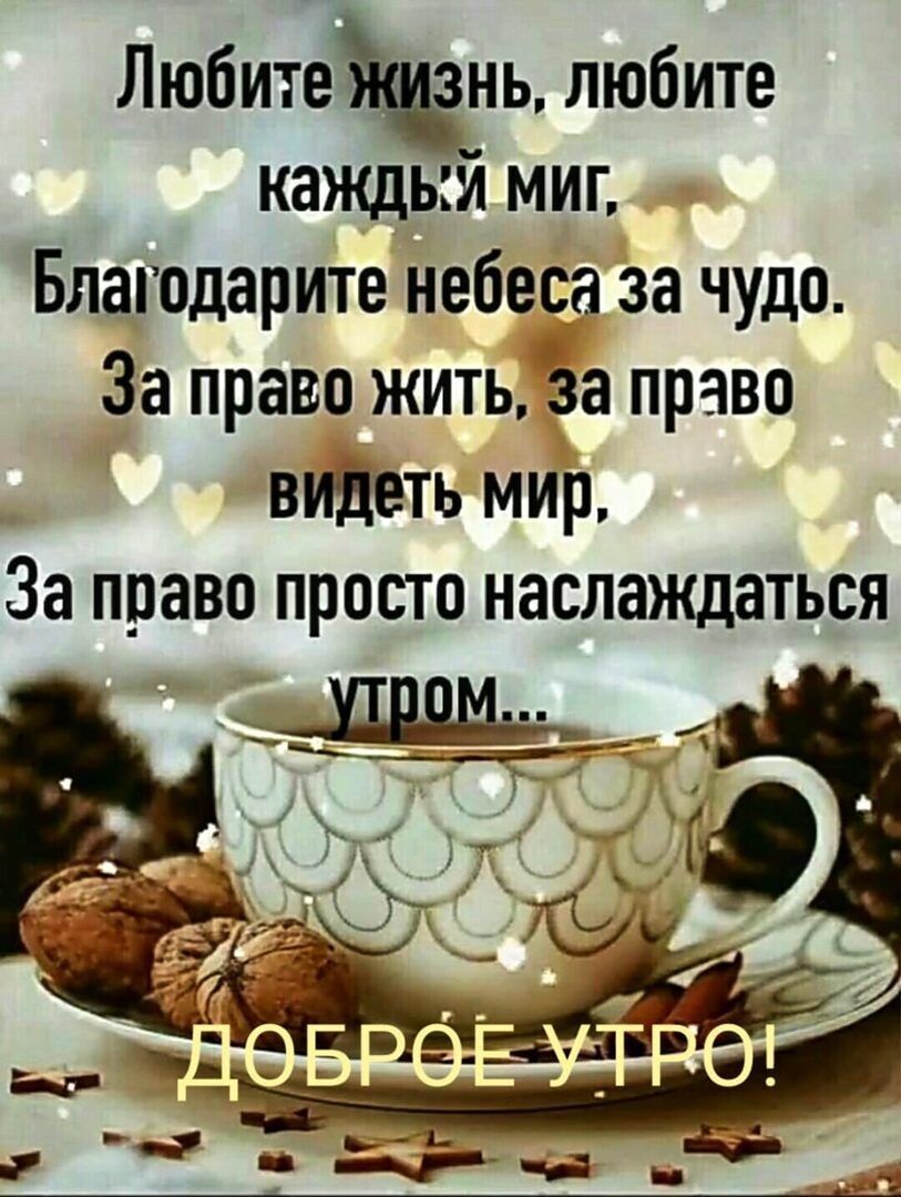 Любитень любите каждый миг Благодарите небеса за чудо За права жить за право видеть мир За право просто наслаждаться