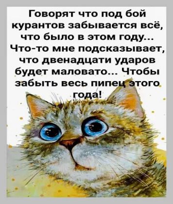 Говорят что под бой курантов забывается всё что было в этом году Чтото мне подсказывает что двенадцати ударов будет маловато Чтобы забыть весь пинкатит года