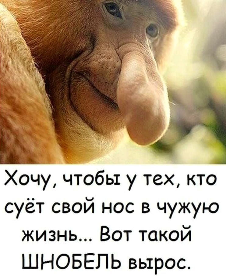 Хочу чтобы у тех кто суёт свой нос в чужую жизнь Вот такой ШНОБЕЛЬ вырос